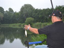 Competities HSV Alfheim